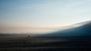 Fields